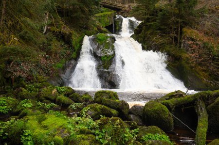 Cascade de Triberg dans la Forêt Noire, chute la plus élevée en Allemagne, la rivière Gutach plonge sur sept étapes majeures dans la vallée, pont en bois 