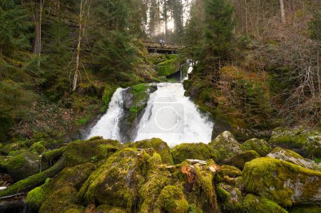 Téléchargez les photos : Cascade de Triberg dans la Forêt Noire, chute la plus élevée en Allemagne, la rivière Gutach plonge sur sept étapes majeures dans la vallée, pont en bois - en image libre de droit