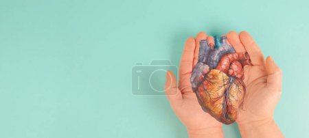 Photo for Heart attack, Myocarditis disease, inflammation of the muscle, thrombosis and cardiac stress, hands holding human organ - Royalty Free Image