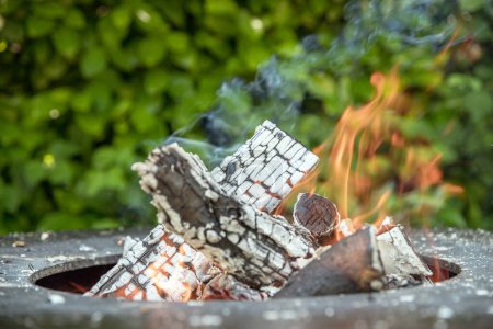 Gros plan sur des morceaux de rondins et du bois de chauffage, du charbon de bois et des cendres en flammes dans un vieux brasero vintage, dans un fond flou.