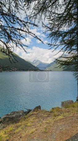 Ceresole Reale, Italia. Vista del Lago Ceresole, inmerso en la vegetación de los Alpes. A lo lejos, a la derecha, la presa del lago. Imagen vertical.