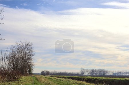Photo for Path between cultivated fields and bordered by streams of water in the italian countryside - Royalty Free Image