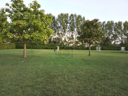 Foto de Partituras de goles y árboles en un jardín bordeado por setos recortados al atardecer - Imagen libre de derechos