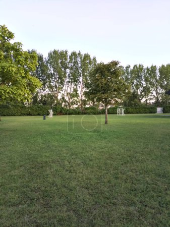 Foto de Partituras de goles y árboles en un jardín bordeado por setos recortados al atardecer - Imagen libre de derechos