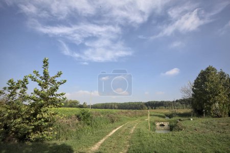 Photo for Path between trenches with water and fields on a sunny day in the italian countryside - Royalty Free Image