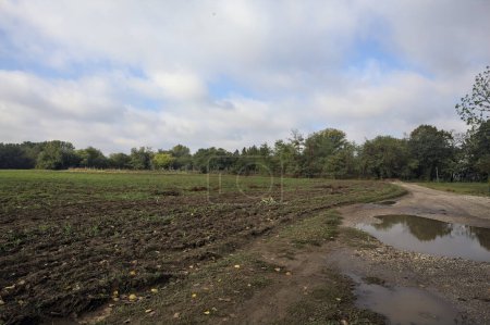 Téléchargez les photos : Chemin de terre avec flaques d'eau à côté d'un champ par une journée nuageuse dans la campagne italienne - en image libre de droit