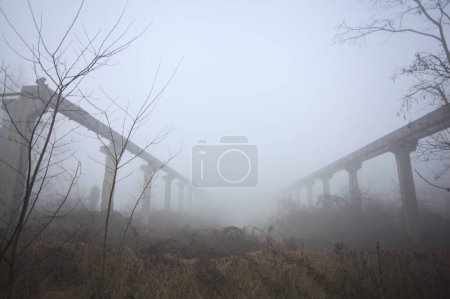 Téléchargez les photos : Poutres d'une usine abandonnée dans le brouillard - en image libre de droit