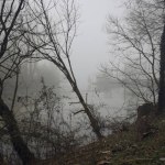 Inlet in a park on a foggy day