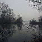 Inlet in a park on a foggy day