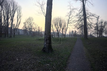 Téléchargez les photos : Chemin dans un parc d'une ville italienne au coucher du soleil - en image libre de droit