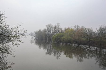 Fluss im Park im Winter