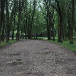 Dirt road in a park