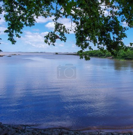 Foto de Vista de un hermoso estanque en verano - Imagen libre de derechos