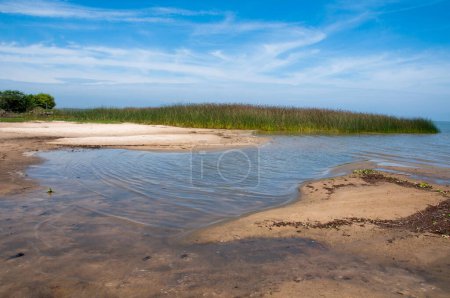 Foto de Hermoso paisaje con un río y un lago en el fondo - Imagen libre de derechos