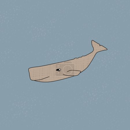 Sperm whale textures hand drawn vector illustration. An animal of Antarctica under the water with textures.