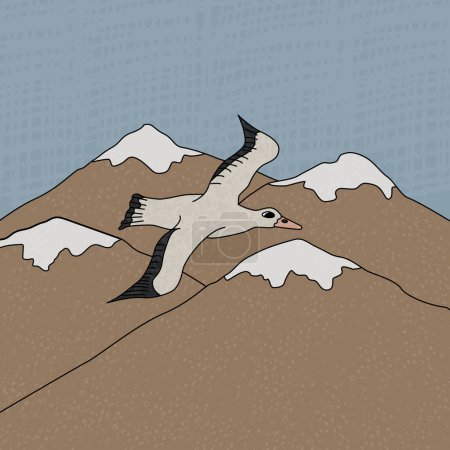 Ilustración de Albatros en aves marinas. Dibujos animados vectoriales ilustración dibujada a mano del animal en la Antártida. Pájaro de carácter polar con textura está volando cerca de las montañas y el cielo dibujo. - Imagen libre de derechos