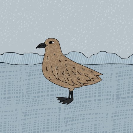 Skua bird is on the snow. Vector hand drawn cartoon childish illustration on the blue background. Polar animal in Antarctica with textures.