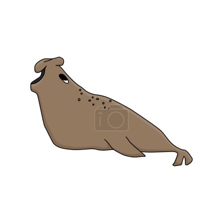 Elephant seal. Hand drawn vector cartoon isolated cute animal in Antarctica. Polar cute childish illustration on the white background.