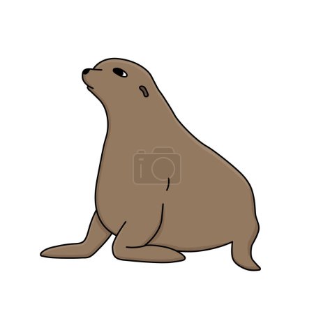Hand drawn vector fur seal illustration. Cartoon outline isolated animal of Antarctica on the white background.