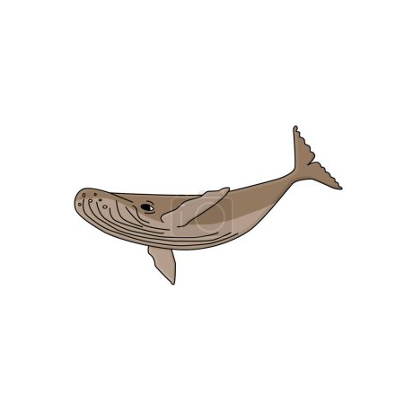 Téléchargez les illustrations : Baleine à bosse dans l'océan. Un animal de l'Antarctique. Caricature dessinée à la main caractère de contour isolé sur le fond blanc. - en licence libre de droit