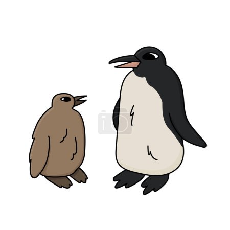 King penguin and a chick. Vector hand drawn cartoon outline illustration. Two Antarctic birds. Polar isolated illustration on the white background.