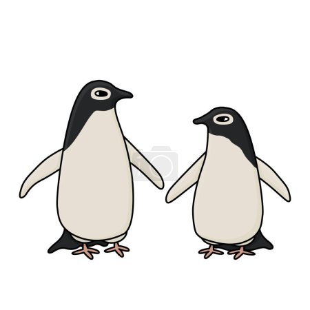 Adele penguins. Vector cute cartoon hand drawn isolated illustration of the animal in Antarctica. Polar outline childish art on white background.
