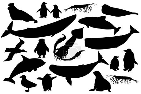 Ensemble d'animaux en forme de silhouette vectorielle noir en Antarctique. Collection dessinée à la main de baleines, pingouins, skua, krill, phoques, marsouins