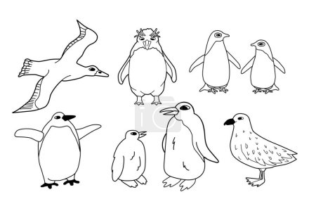 Vector schwarze weiße Linie Reihe isolierter Tiere in der Antarktis. Handgezeichnete Umrisse adelie, König, Kaiser, Makkaroni-Pinguine, skua, Albatros