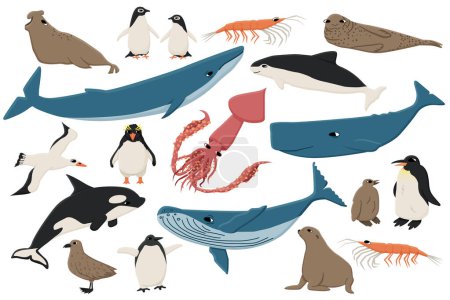Conjunto de coloridos animales planos aislados en la Antártida. Vector Colección dibujada a mano de ballenas, pingüinos, skua, krill, focas, marsopa