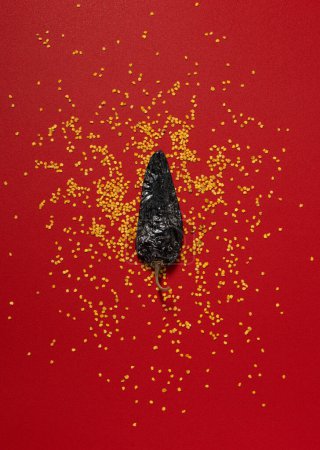 Téléchargez les photos : Chili séché et graines sur fond rouge, Pasilla Guajillo mexicaine épices plat laïc - en image libre de droit