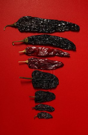 Téléchargez les photos : Chilis séché Fond rouge, chili guajillo Pasilla mexicain épices variété taille plat laïc - en image libre de droit