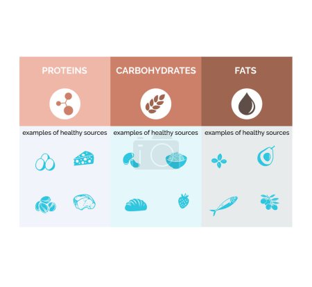 Logo zum Thema gesunde Ernährung mit Proteinen, Fetten und Kohlenhydraten.