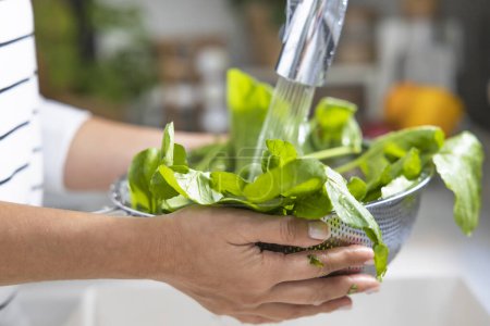 Foto de Young woman washing green arugula salad greens in colander by kitchen sink - Imagen libre de derechos