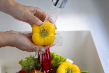 Photo for Woman washing vegetables on kitchen counte - Royalty Free Image