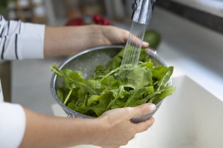 Photo for Young woman washing green arugula salad greens in colander by kitchen sink - Royalty Free Image