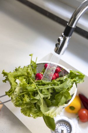 Photo for Young woman washing green arugula salad greens in colander by kitchen sink - Royalty Free Image