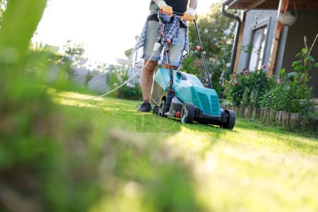 Téléchargez les photos : Jeune homme dans son jardin tondre l'herbe avec une tondeuse à gazon par une journée ensoleillée - en image libre de droit