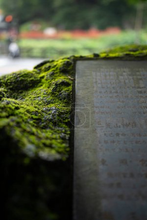 Foto de Tableta de piedra cubierta de musgo en un parque nacional en Japón - Imagen libre de derechos