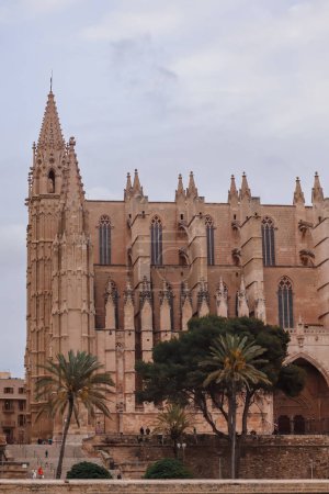 Foto de Vista frontal de la Catedral de Santa Maria, Palma de Mallorca, España - Imagen libre de derechos