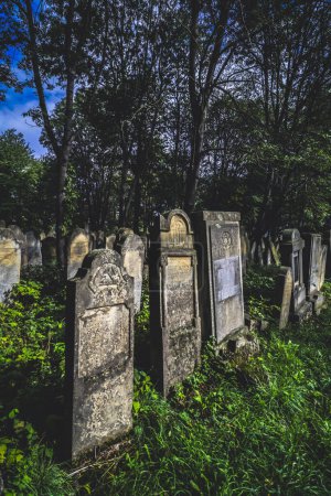 Foto de Cementerio judío con vegetación entre tumbas en Radauti, Rumania durante el otoño - Imagen libre de derechos