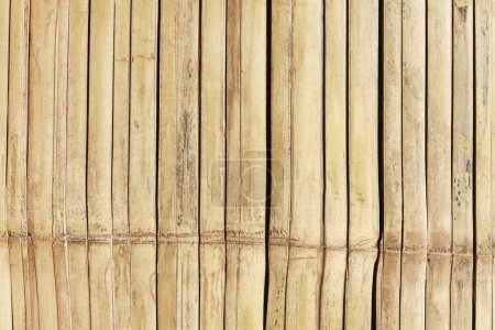 Téléchargez les photos : Fond de texture de clôture en bambou blanc, motif de mur naturel pour le travail d'art de conception. - en image libre de droit