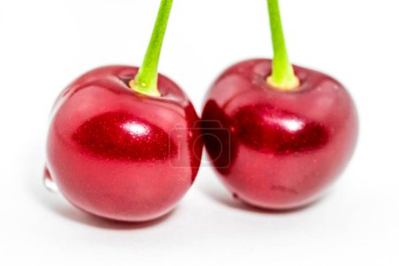 Photo for Two fresh vibrant red cherries on green stem closeup - Royalty Free Image
