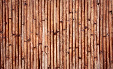 Téléchargez les photos : Texture de mur en bois de bambou. Clôture de tubes en bambou - en image libre de droit