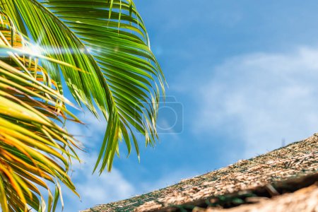 Foto de Cielo de verano y hojas de palma en una isla tropical - Imagen libre de derechos
