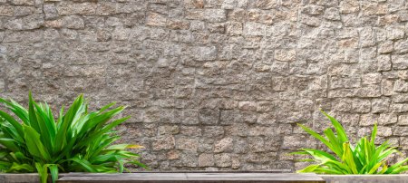 Téléchargez les photos : Vieux mur gris, fond tropical - en image libre de droit