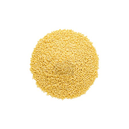 Millets seeds top view, directly above. Heap of dry millet. Hulled millet, sorghum grain