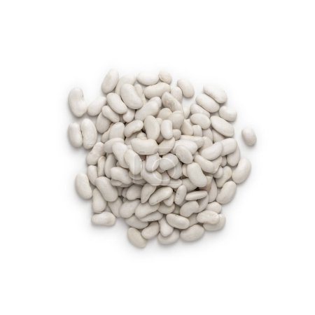 Círculo montón de frijoles blancos en blanco. Pila de semilla de frijol. Vista superior