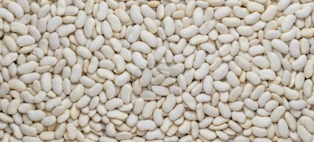 Haricot lima beans beans texture background