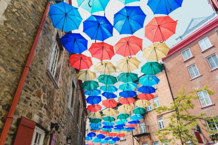 Niza Lote de paraguas en Petit Champlain calle Quebec ciudad