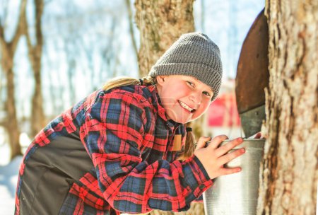 A sugar shack, child having fun at maple shack forest